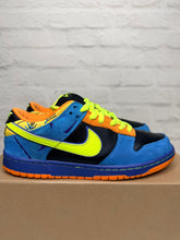 Load image into Gallery viewer, Nike SB Dunk Low Skate or Die (2008) - 9M
