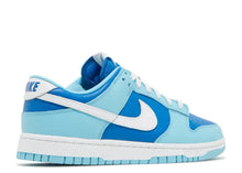 Load image into Gallery viewer, Nike Dunk Low Retro QS Argon (2022)
