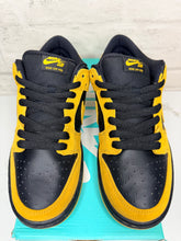 Load image into Gallery viewer, Nike SB Dunk Low lowa (2015) - 9M
