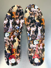 Load image into Gallery viewer, Nike SB Dunk High Dog Walker (Special Box) (2019) - 9M
