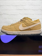 Load image into Gallery viewer, Nike SB Dunk Low Pro Spanish Moss (2006) - 8M
